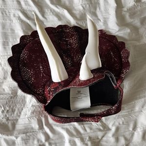 Dog triceratops costume